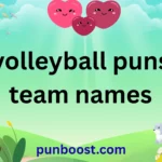 volleyball puns team names